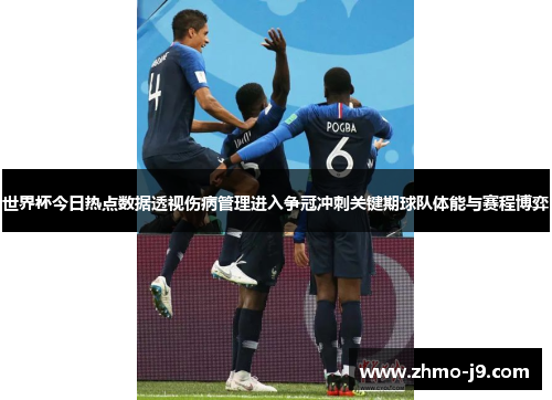 世界杯今日热点数据透视伤病管理进入争冠冲刺关键期球队体能与赛程博弈