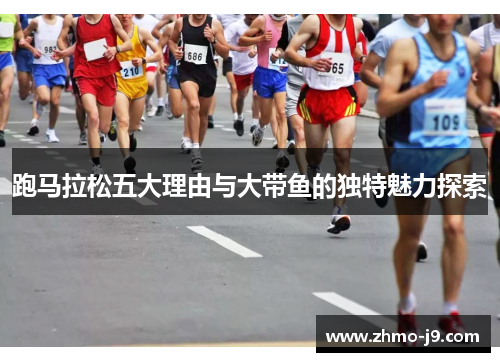 跑马拉松五大理由与大带鱼的独特魅力探索