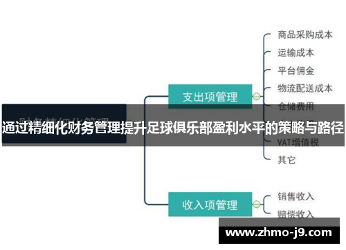 通过精细化财务管理提升足球俱乐部盈利水平的策略与路径 通过精细化财务管理提升足球俱乐部盈利水平的策略与路径