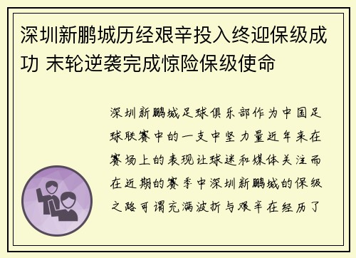 深圳新鹏城历经艰辛投入终迎保级成功 末轮逆袭完成惊险保级使命